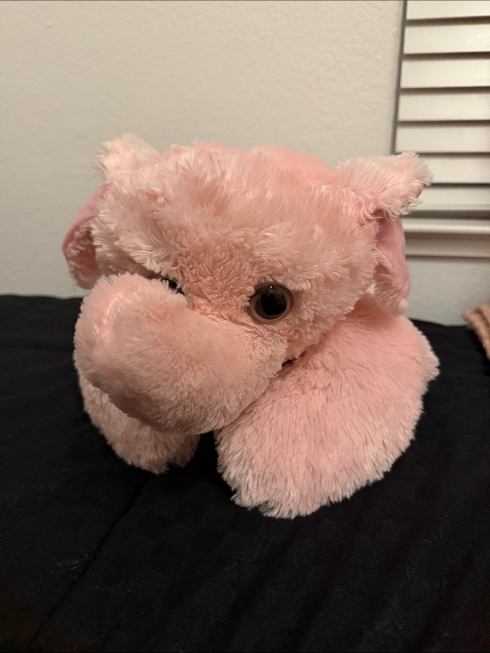 Elephant stuffed animal